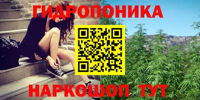 крисы Изобильный