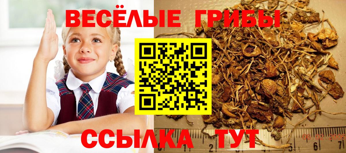 Псилоцибиновые грибы Magic Shrooms Лабинск