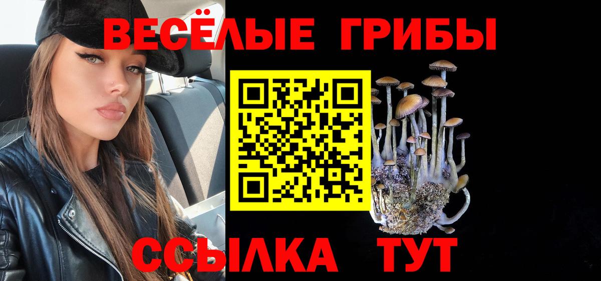 Псилоцибиновые грибы MAGIC MUSHROOMS  Вход с VPN  Лабинск 